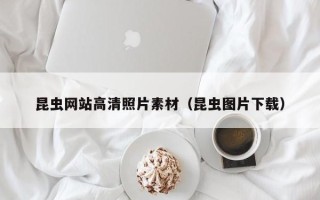 青州昆虫网站高清照片素材（昆虫图片下载）